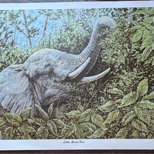 Elephant Art Print Signed And Numbered By Gail AdamsGreen Approx 29x21 inches